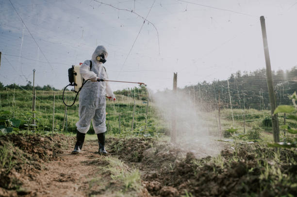 Best Affordable Pest Control Services  in Burgaw, NC