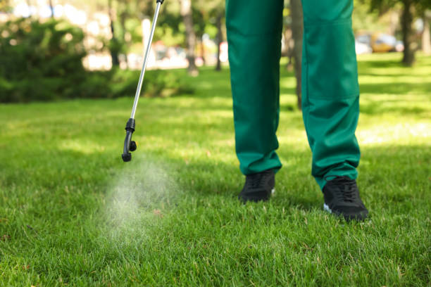Best Local Pest Control Services  in Burgaw, NC