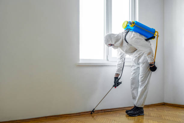 Best Exterminator Services  in Burgaw, NC