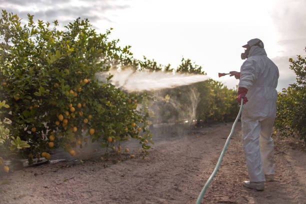 Reliable Burgaw, NC Pest Control Solutions