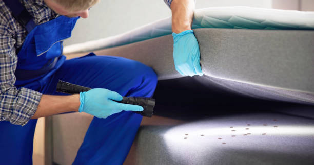 Professional Pest Control in Burgaw, NC