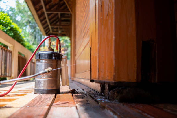 Best Pest Inspection Near Me  in Burgaw, NC