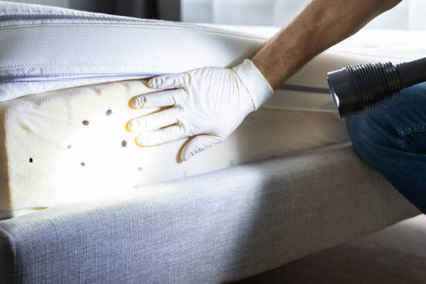 Pest Control Cost in Burgaw, NC