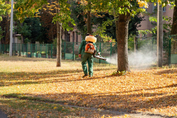 Best Pest Inspection Near Me  in Burgaw, NC