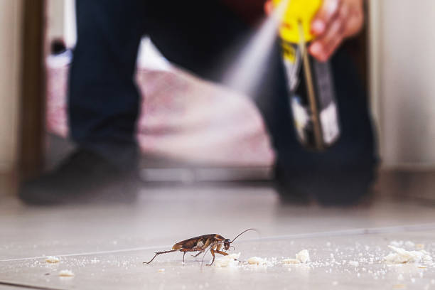 Best Cockroach Control Services  in Burgaw, NC