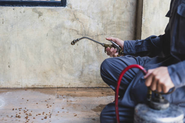 Best Affordable Pest Control Services  in Burgaw, NC
